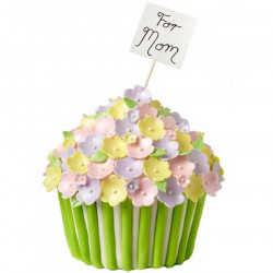 Moule A Cupcake Geant Wilton Dimensions